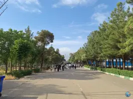 عکس پارکینگ عمومی مصلی جنوبی، عباس آباد - اندیشه، تهران 2