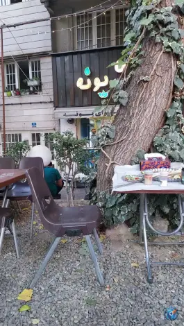 جگرکی پونه، ونک، تهران