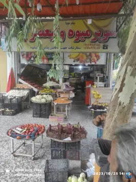 میوه فروشی ولیعصر، دشت چنار، شیراز