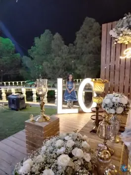 عکس باغ عمارت فیروزه، خلیج فارس، اصفهان 8