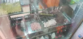 عکس جیگرستان سلفچگان 6