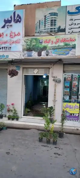 گل و گیاه ثنا، مهرآباد، قم
