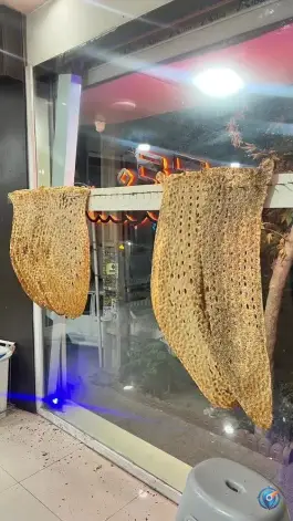 عکس نان سنگک حافظ، حافظ شمالی، کرج 4