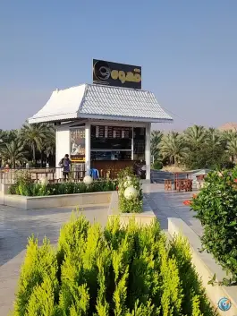 عکس قهوه کنارتخته، خلیج فارس، کازرون 1