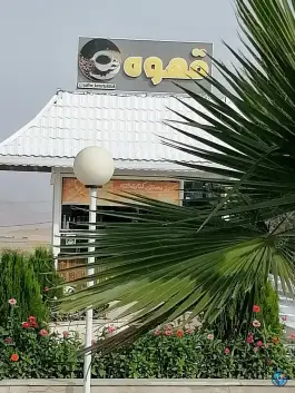 عکس قهوه کنارتخته، خلیج فارس، کازرون 2