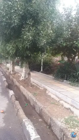عکس بوستان زیبا، محله دروازه چوبی، قم 4