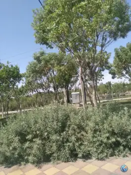 عکس پارک نبوت فاز 1، جعفریه، قم 2