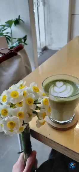 عکس کافه فردوسی، محله میرزای شیرازی، شیراز 3
