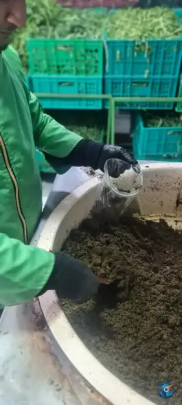 عکس سبزیجات آماده تک، شهید رجایی، کرج 3