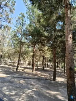 عکس بوستان سلام، بلوار پاسداران، قم 2
