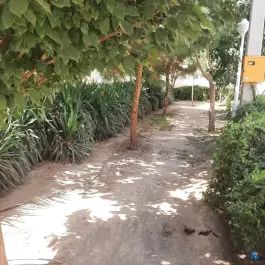 عکس بوستان دی، شالبافان، قم 2