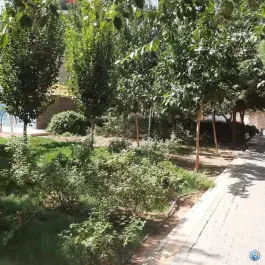 عکس بوستان دی، شالبافان، قم 3
