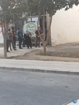 عکس نان ماشینی طرح خانگی ایمان الهیه اصفهان 2