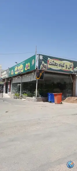 عکس گل فروشی بعثت، ستارخان، شیراز 2