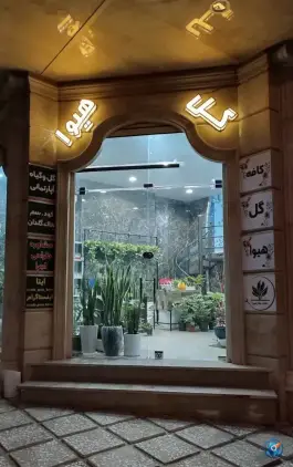 کافه گل هیوا، محله بنیاد، قم
