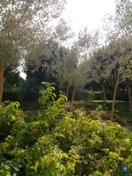 بوستان پاکبان، بلوار امام موسی صدر، قم