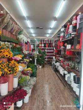 عکس گلسرای لاله، محله مبعث، شیراز 2