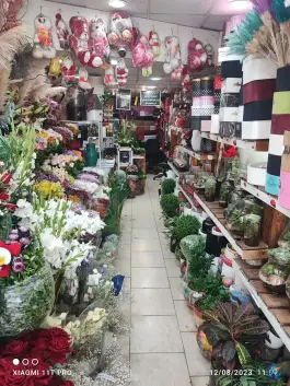 عکس گلسرای لاله، محله مبعث، شیراز 3