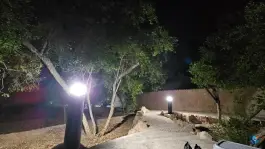 عکس پارک خانواده، معالی آباد، شیراز 3