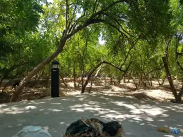 عکس پارک خانواده، معالی آباد، شیراز 4