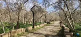 عکس پارک خانواده، معالی آباد، شیراز 5