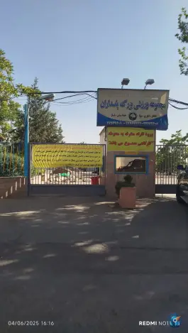 عکس استخر بزرگ پاسداران، محله پاسداران، تهران 6
