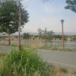 عکس استخر قهرمانی آزادی - محله ورزشگاه آزادی، تهران 6