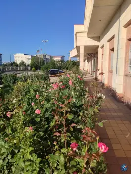 بیمارستان امام رضا (ع) - شهرک امام رضا - اردبیل