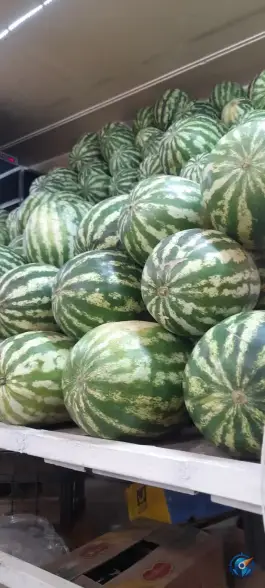 عکس سوپر میوه تک، محله حمام تالار، قم 9