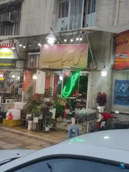 گل کلاسیک، باغ تخت، شیراز