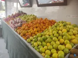 عکس میوه سرای دالاهو، محله قبله، شیراز 4