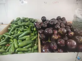 عکس میوه سرای دالاهو، محله قبله، شیراز 5