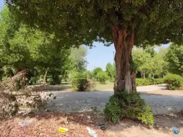 عکس بوستان پردیس، گلشن، اهواز 2