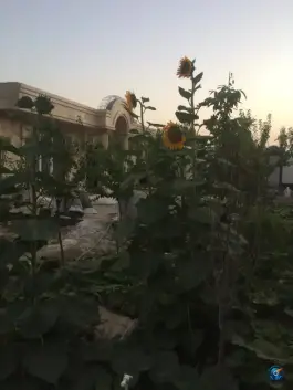 عکس کوچه مزرعه مهر کرج 4