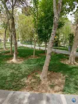 عکس بوستان رحیم خان در محله درب کوشک اصفهان 2