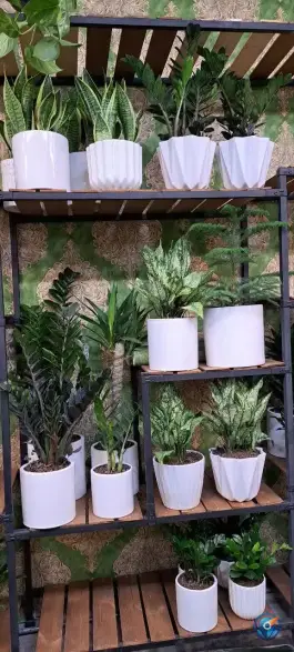 عکس گلکده غدیر، محله خواجه عمید، اصفهان 1
