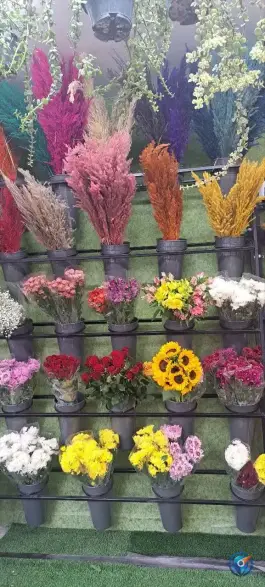 عکس گلکده غدیر، محله خواجه عمید، اصفهان 2
