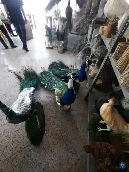 عکس باغ پرندگان ناژوان اصفهان 2