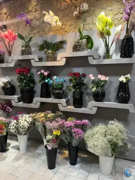 عکس گلفروشی لوناگل، سعادت آباد، اصفهان 5
