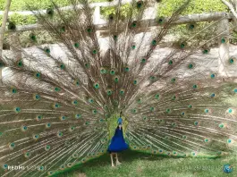 بوستان ناژوان اصفهان، محله دستگرد خیار