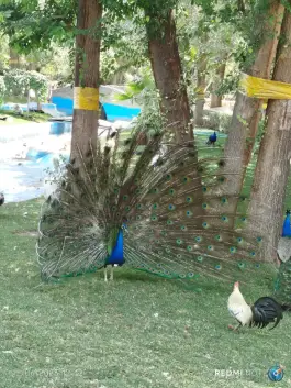 عکس بوستان ناژوان اصفهان، محله دستگرد خیار 2