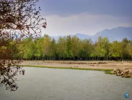 عکس بوستان ناژوان اصفهان، محله دستگرد خیار 6