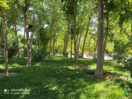 پارک گل نرگس باغستان کرج