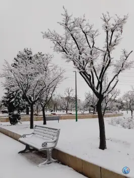 عکس پارک گل نرگس باغستان کرج 6