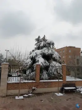 عکس پارک بوعلی عدل کرج 1