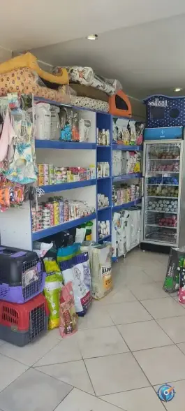 عکس پت شاپ کیت کت، صائب تبریزی، شیراز 3