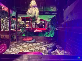 باغ رستوران راز «کهتو کباب راز» جم