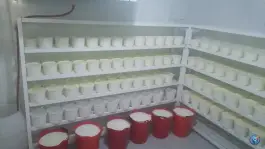 عکس لبنیات سنتی اصیل زرقان، بیست متری امام خمینی، شیراز 2