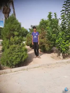 عکس پارک شهید غلامی «محله حجت آباد» شیراز 4