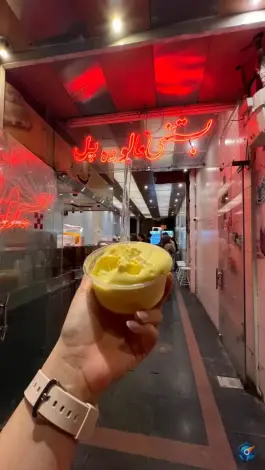 عکس بستنی پل، باغ زرشک، اصفهان 3